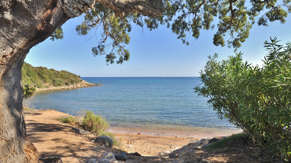 location villa de luxe domaine d'araso les pieds dans l'eau avec piscine et accès direct plage corse du sud