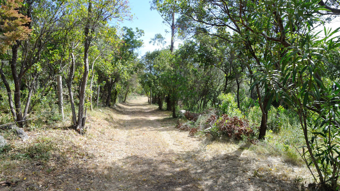 terrain vue mer pinarello corse du sud