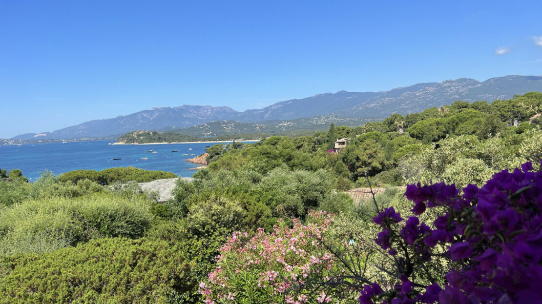vue mer vente villa vue mer et plage à pied à CALA-ROSSA