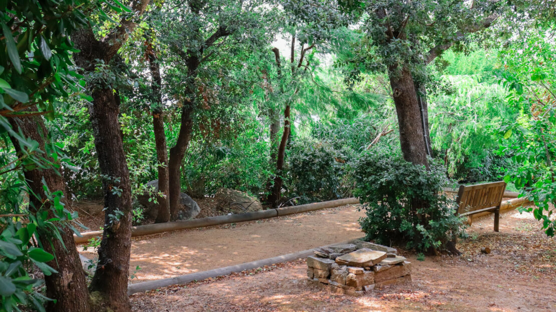 terrain de pétanque