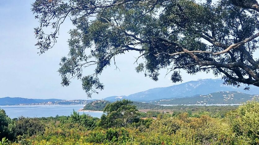 vue mer panoramique