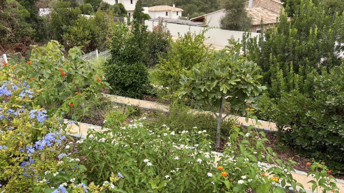 jardin
